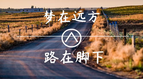 成都道路貨物運(yùn)輸許可證怎么辦理